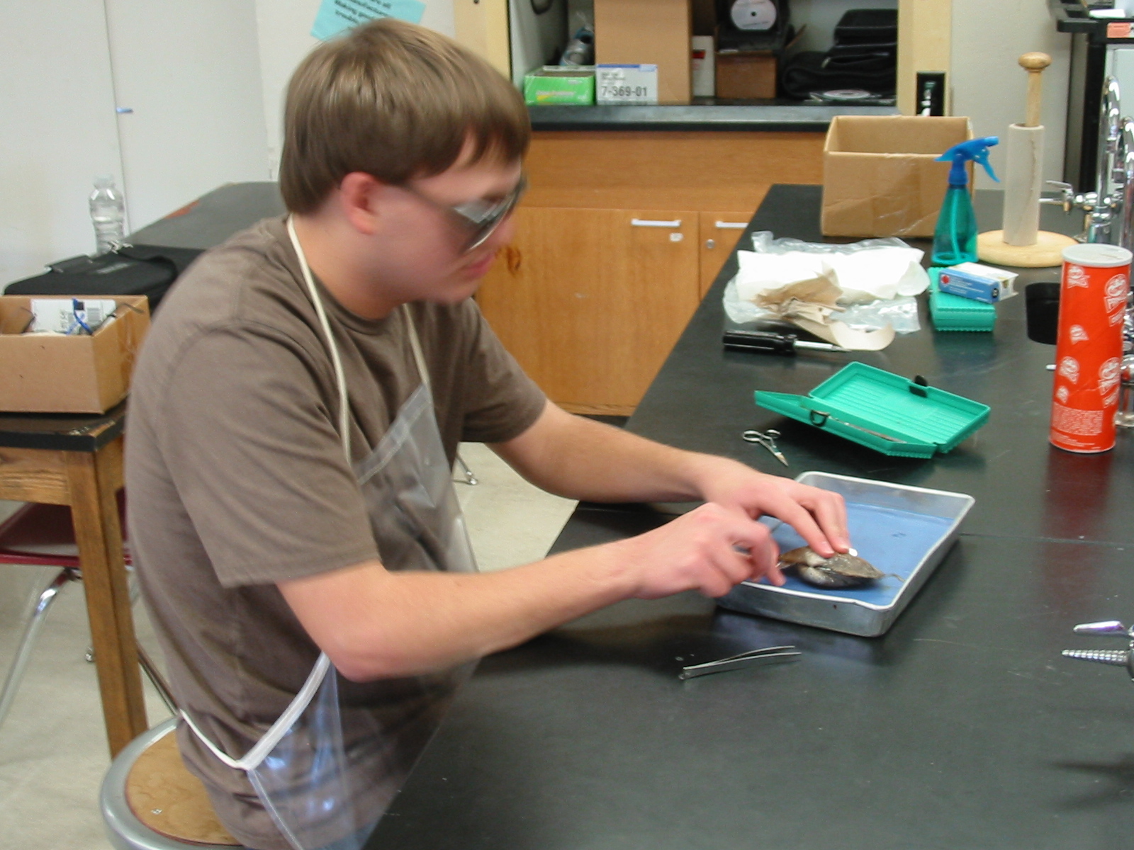 Clam Dissection Questions